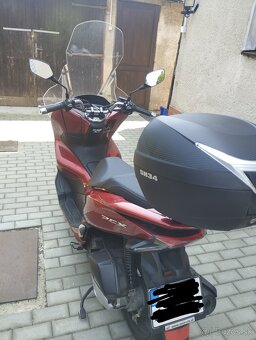 PCX HONDA 125cm - 2