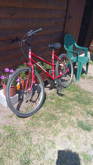 Predam mestsky bicykel - 2