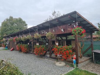 Voliery , klietky - 2