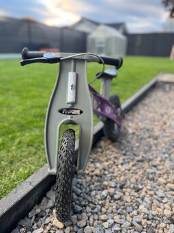 Odrážadlo FIRST BIKE - 2