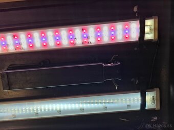 Akvárium set Diversa 300 l + filter + osvetlenie - 2