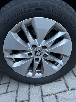 Skoda octavia 205/60/16 letne - 2