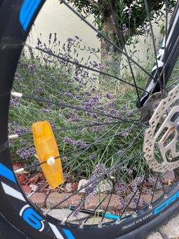 CRUSSIS e-ATLAND 6.6 e bike - 2