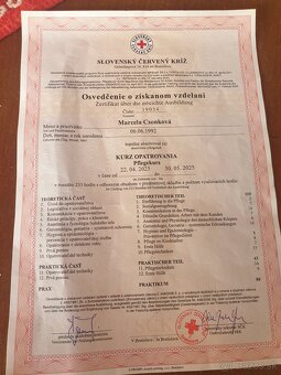 Zdravím hľadám ai pracu ako opatrovateľka v okolí - 2