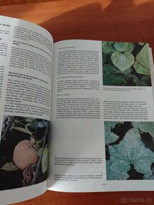 Záhradkárska encyklopédia - 2