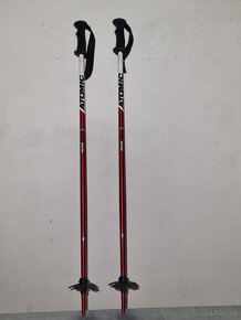 Palice Atomic Aero 80 cm - 2