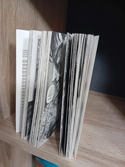 Berserk manga EN #1 - 2