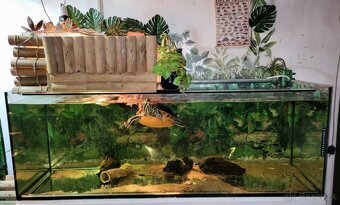 Akvarium 375l - 2