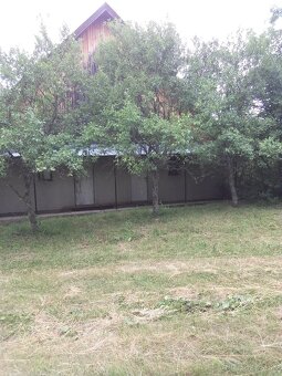 Vinná pivnica - 2