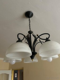 5-ramenny luster - 2