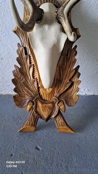 Parohy,trofej - 2