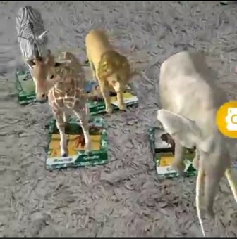 4D smart karty - 60 kariet - 2