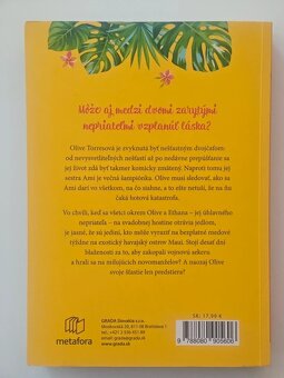 Falošné medové týždne Christina Lauren - 2