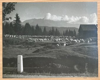 Fotografie Karol Plicka - 2