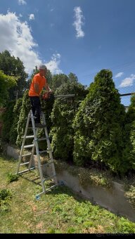 Úprava záhrad a živých plotov, vypiľovanie tují, kosenie - 2