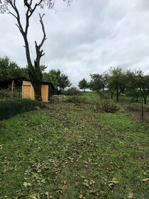 Rizikove pílenie a výrub stromov - 2