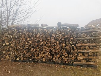 Predám palivové drevo metrovicu - 2