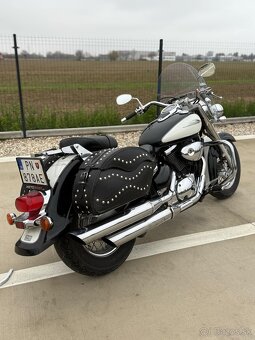 SUZUKI VL 800 INTRUDER - 2