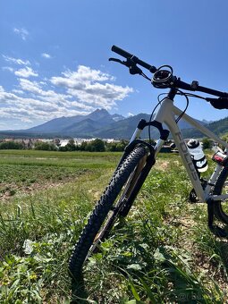 Focus whistler 3.8 - 2