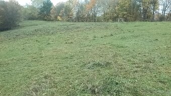 Rekreačný pozemok - 2