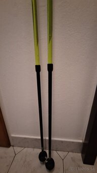 Lyžiarske paličky - 2