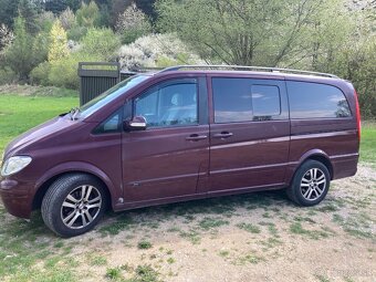 Mercedes Viano - 2