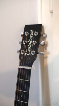 Akustická gitara Tanglewood TWBB O - 2