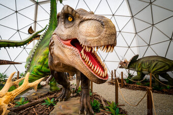 DINOPARK – kupola + 3 kontajnery + 11 dinosaurov - 2