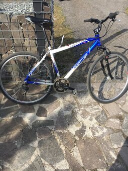 Vedora compro cross - 2