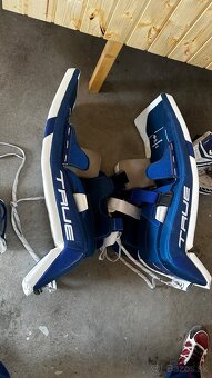 Brankarske betony True hzrdus 7x3 - 2