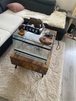 Terarium 50x35x29,5 - 2