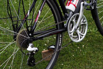 DEMA Merano dámsky bicykel - 2