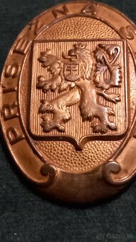 Odznak přísežná stráž - 2