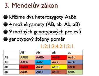 MUNI MED prípravný kurz materiály - 2