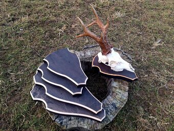 Podložky srnec jeleň - 2