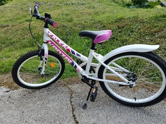 Bicykel detský "20 - 2