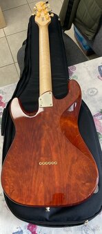 Elektrická gitara- stratocaster Grunt - 2