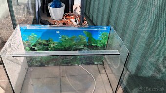 Akvarium - 2