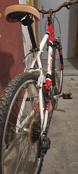 Horsky bicykel - 2