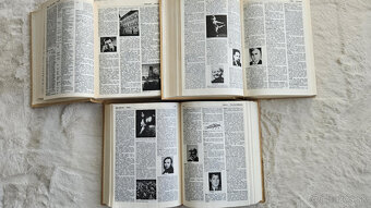 Ilustrovaný encyklopedický slovník 1-3 - 2