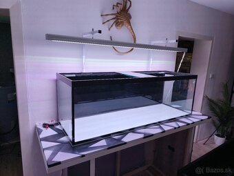 Akvarium - 2