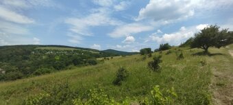 Pozemok pre ranč, pasienok, vinicu - 4HA - 2