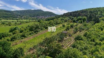 Vinica na skok od Nitry + chata - 590 m2 - 2