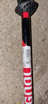 Lyziarske palice 80cm - 2