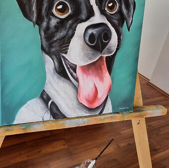 Jack Russell – Šťastný Psík na Plátne 50х50 - 2