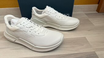 ECCO biom - 2