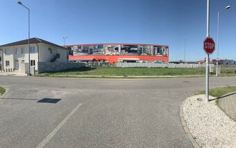 Prenajmem pozemok na predaj vianočných stromčekov🌲🌲🌲 - 2