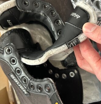 Korcule bauer Y11 - 2