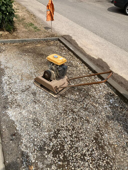 vybračna žaba - 2