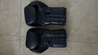 Rukavice na Thajsky box Fairtex - 2